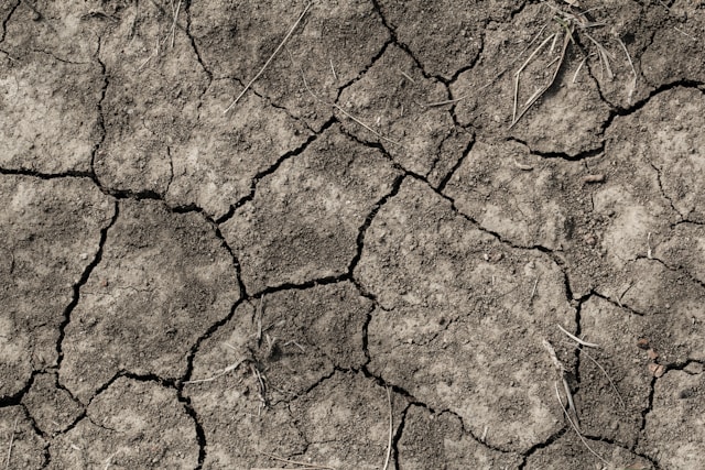 5-lykkedager-i-henhold-til-stjernetegn